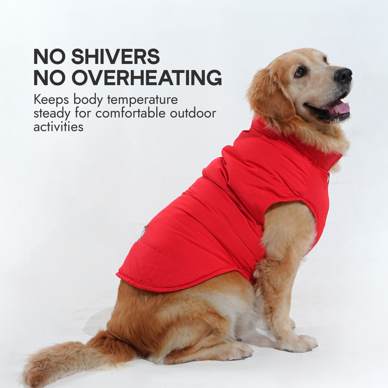 Barks & Wags Winter Jacket for Dog, Cat(Red)