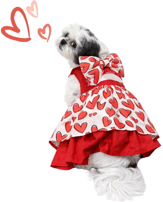 Dog-O-Bow Dress, Frock for Dog(Red, White)