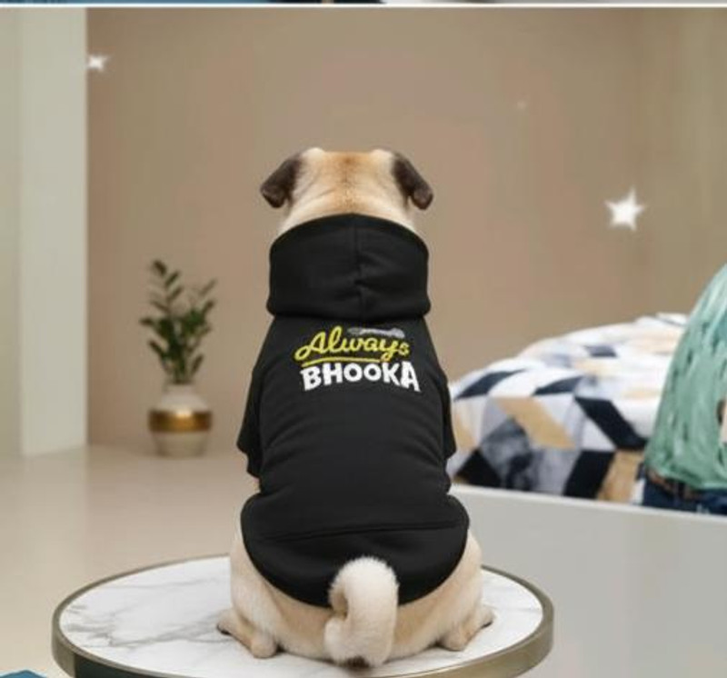 kasakclothing Sweater for Dog(Black)