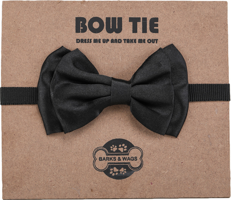 Barks & Wags Dog & Cat Show Collar(Small, BLACK)