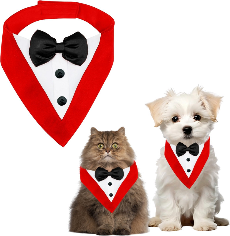 Sage Square Bow for Dog, Cat(Black)