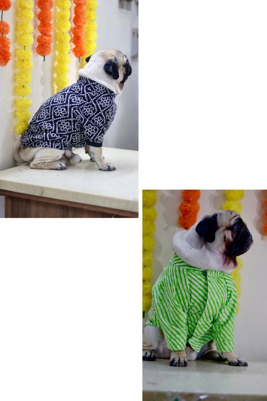 kasakclothing Shirt for Dog(SKY BLUE, GREEN)