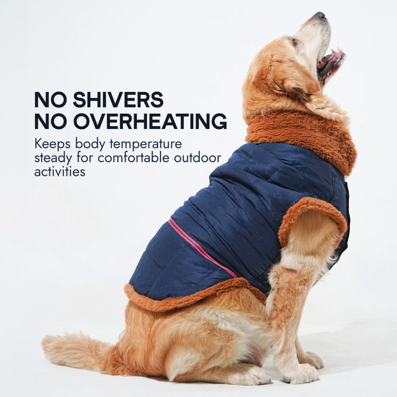 Barks & Wags Winter Jacket for Dog, Cat(Dark Grey & Black Fur)