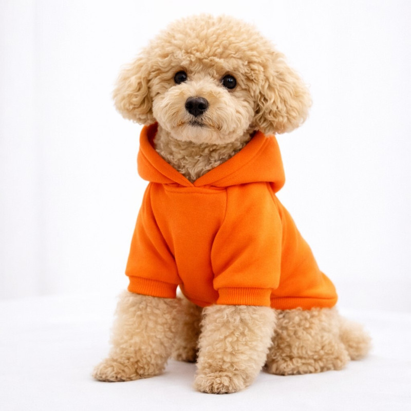 HUCHA Hoodie for Dog(Orange)