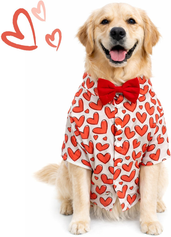 Dog-O-Bow Shirt for Dog(Red, White)