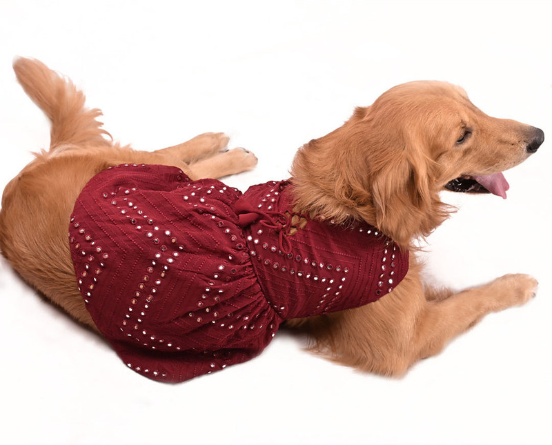 Paws By Vastramay Dress for Dog(Maroon & Cream)
