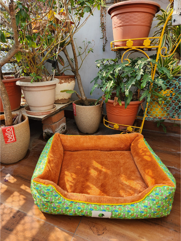 TEDHI POONCH Premium Canvas Lounger Dog Bed (Dinosaur Print, Small) S Pet Bed(Orange, Green)
