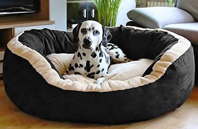 KOZI PET Cozy Polyester Filled Soft Dual Color S Pet Bed(KOZIPET)