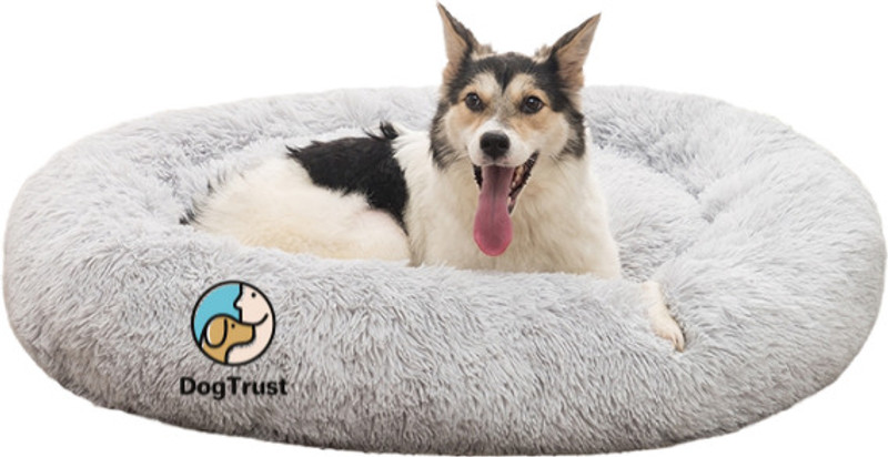DogTrust Round Donut Pet Bed for Cats and Puppies, Cozy and Both Sides Use Like 2 in One S Pet Bed(Grey)