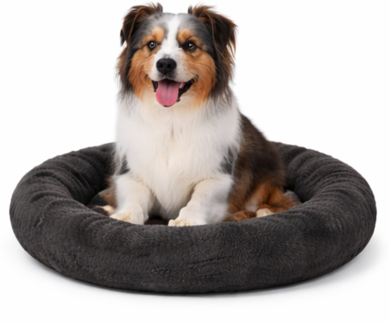 GOVIND ENTERPRISES Dog Bed Anti Anxiety Soft Donut Pet Bed Washable Cushion for Dogs & Cats S Pet Bed(Black)
