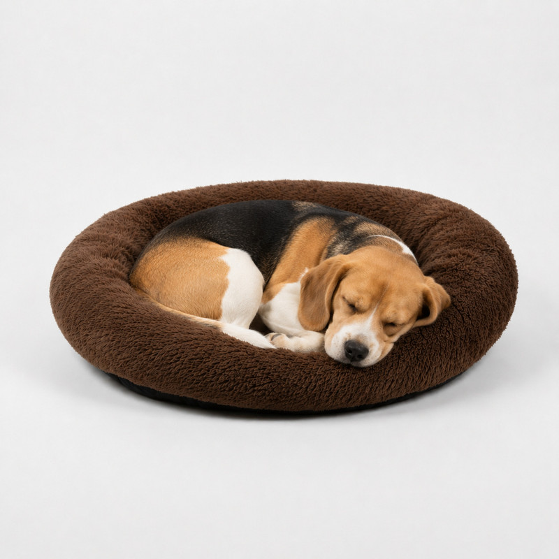 softvibes creation Soft Plush Round Dog Bed for Small & Medium Dogs, Washable Pet Cushion Bed S Pet Bed(Brown)