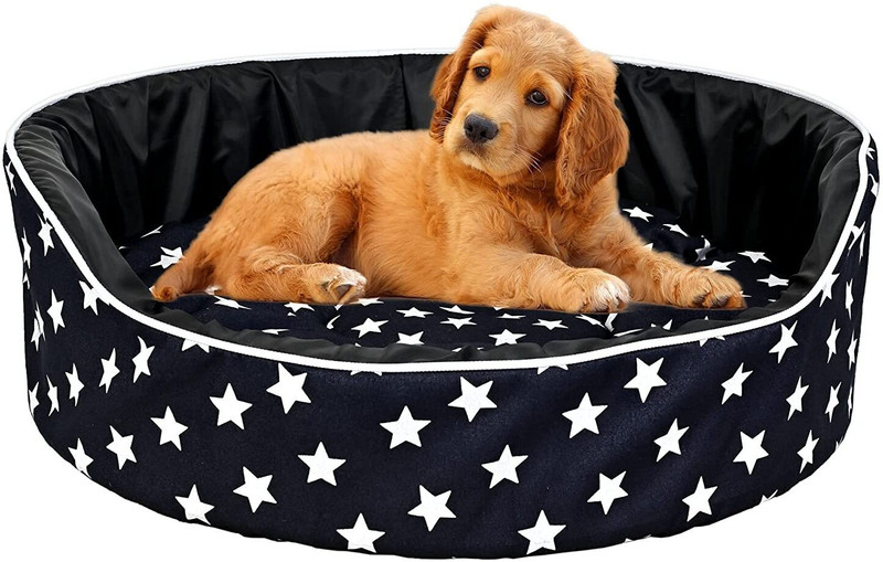 MS PET HOUSE PET-BED-STAR-BLUE-S S Pet Bed(Blue)