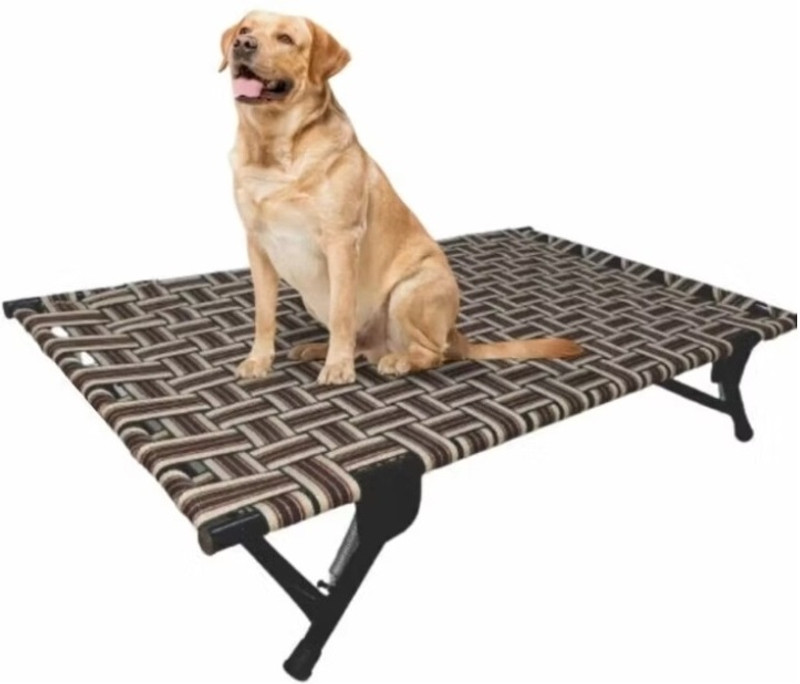 KGN Iron Frame Pet Cot Bed with Strong Plastic Base for Indoor & Outdoor M Pet Bed(Multicolor)