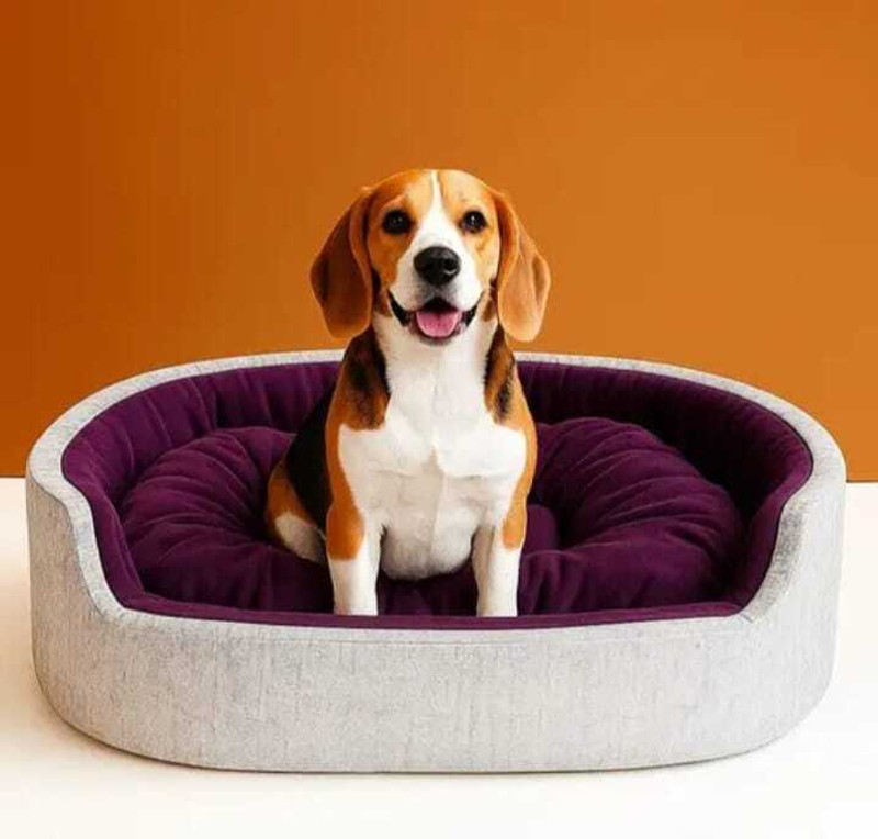 FURRY STYLISH Tranding Latest Beds , Sofas & Chair For Dog And Cat L Pet Bed(Grey & Yellow)