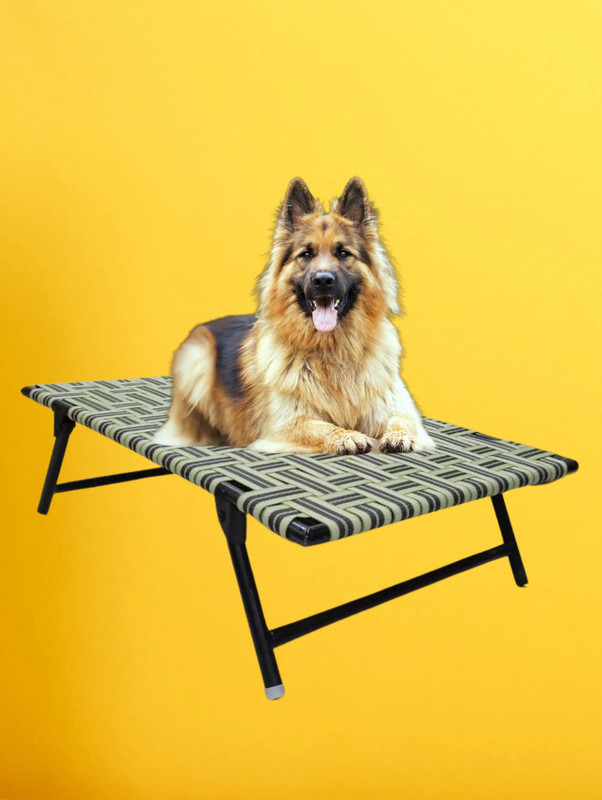 TakshaDecors Large Pet Bed L Pet Bed(Multicolor)