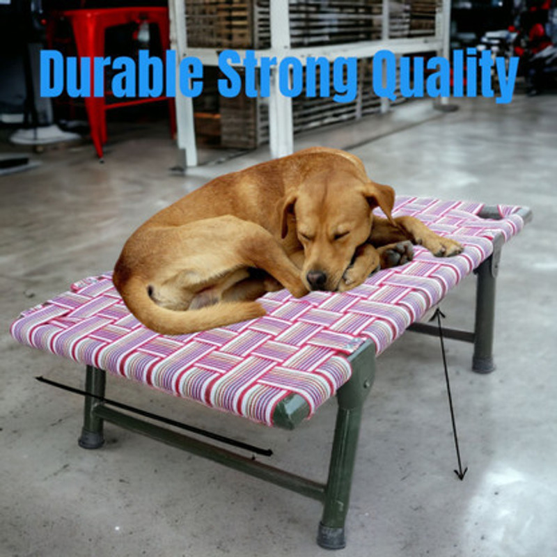 Muneer lala Sturdy Elevated Dog Bed for Relaxing Sleep and Joint Support M Pet Bed(Multicolor)