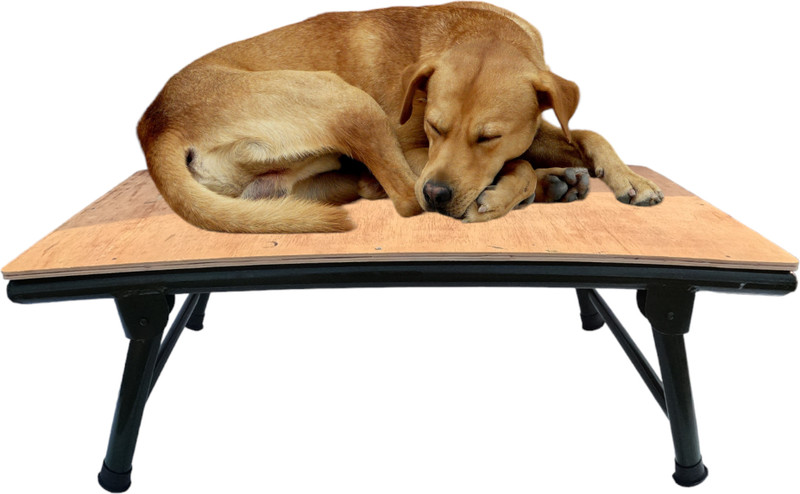 AAURAS Dog Pet Bed with Strong Quality Plywood size 36x24x12inch L Pet Bed(MULTICOLOR)