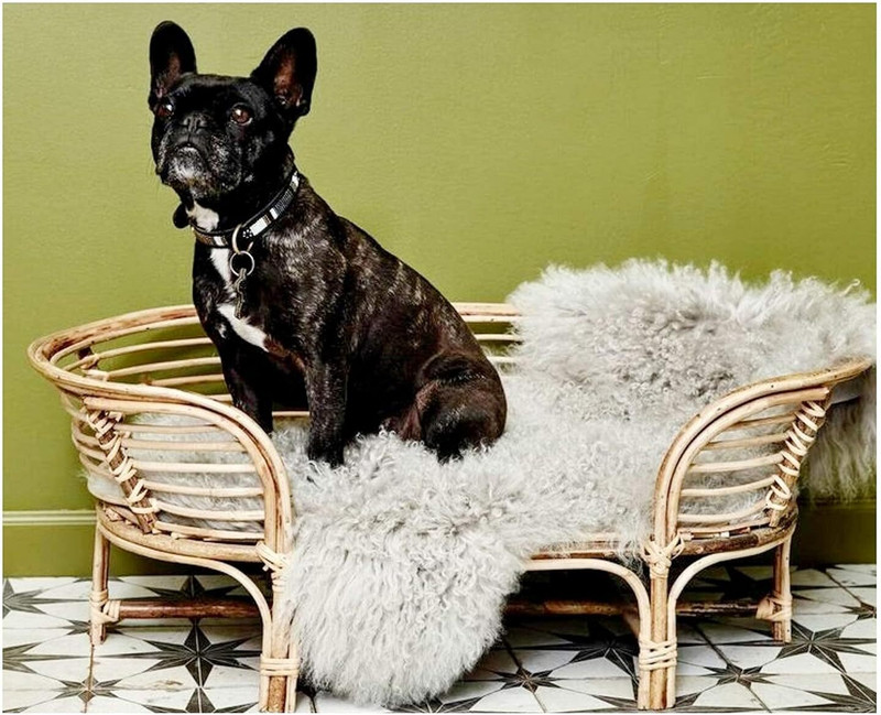CRAFTCANE pet bed S Pet Bed(bown)