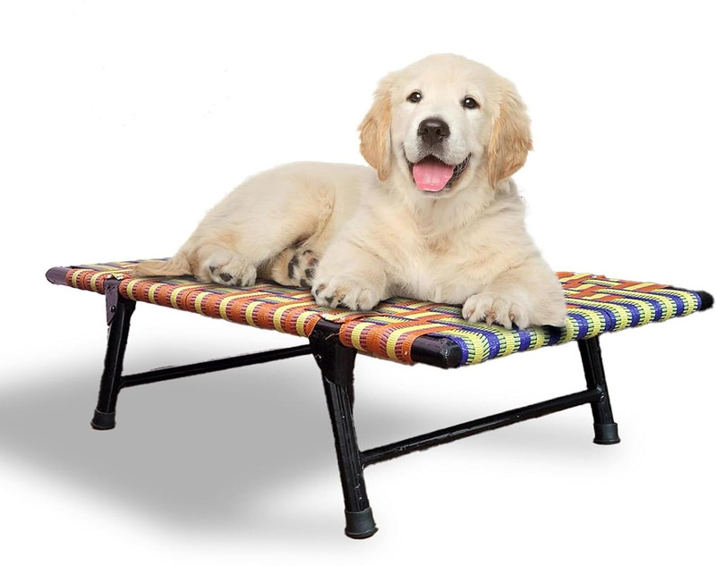 PetLove DOGU07 XL Pet Bed(MULTICOLOUR)