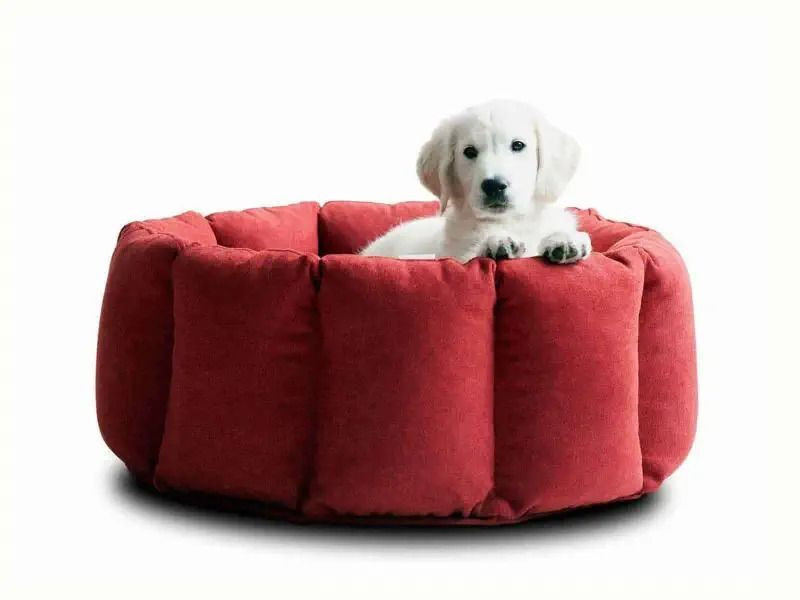 Ashok enterprises Super Soft Reversible Bed for Indoor Cats, Dog Bed for Puppy and Kitty Round Bed XXXL Pet Bed(Red)