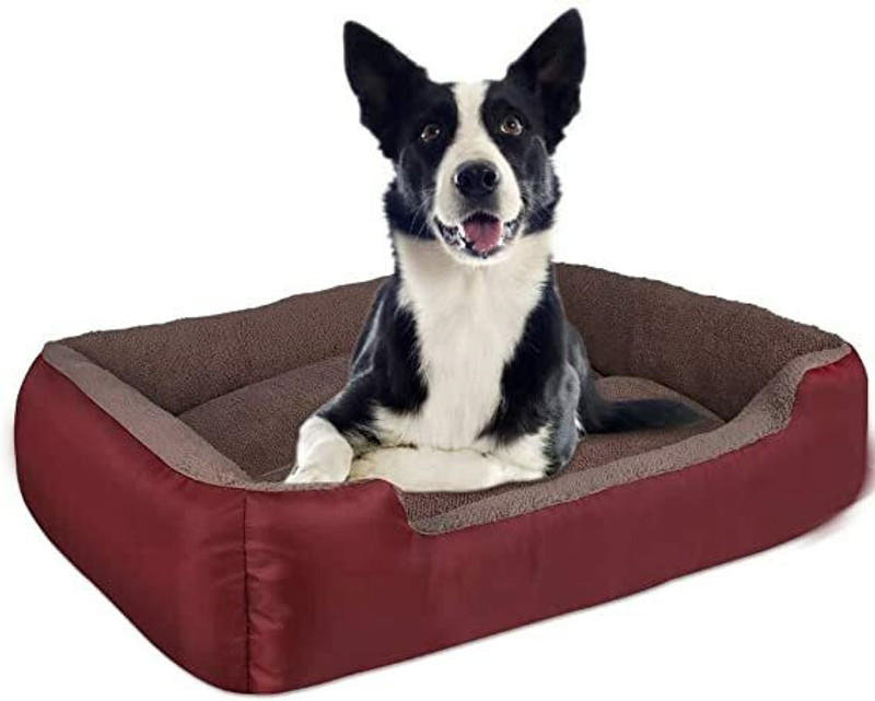 SITSNOOZE 34M M Pet Bed(Brown & Red)