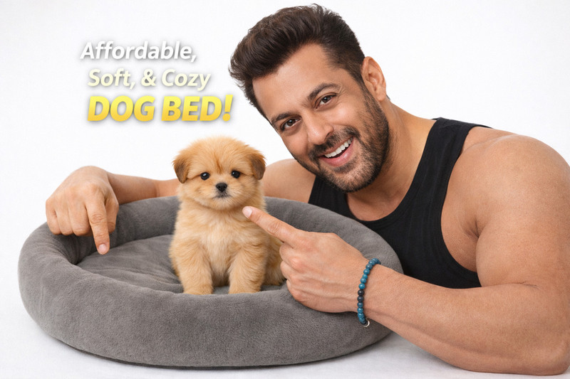 Royals Rore soft imorted fur dog bed for salman small pets S Pet Bed(grey)