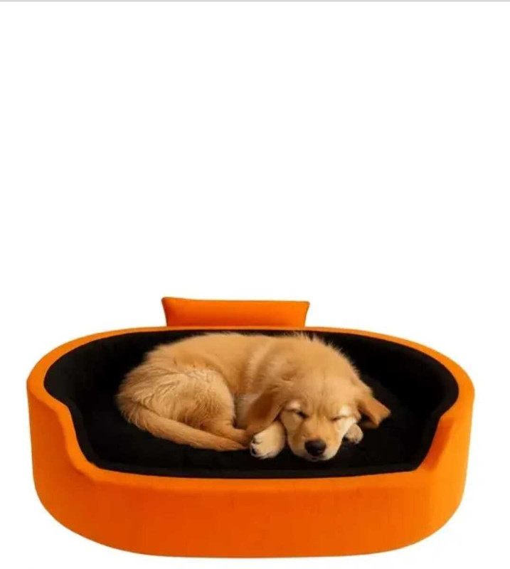 TRANDING STYLISH Luxury Coller Sofas , Beds For Dog And Cat XL Pet Bed(ORANGE, BLACK)