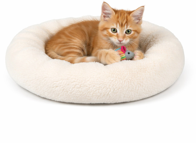 dogbed CREAM_1 S Pet Bed(Cream, Beige)