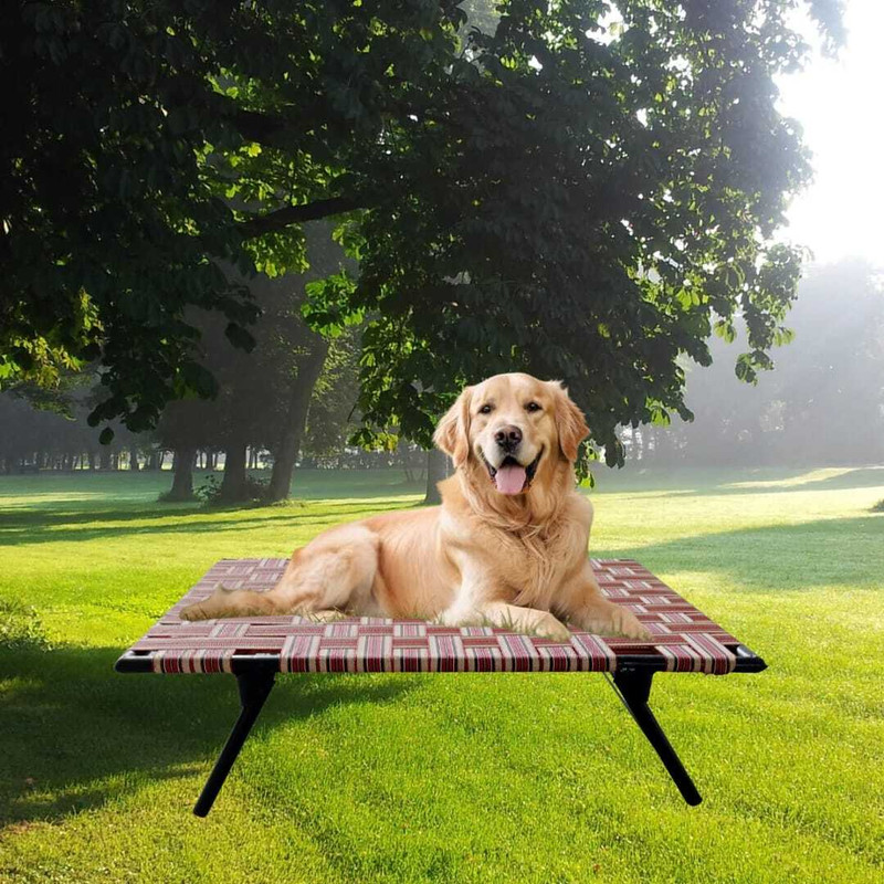 TakshaDecors BDIN-5265 L Pet Bed(Multicolor)