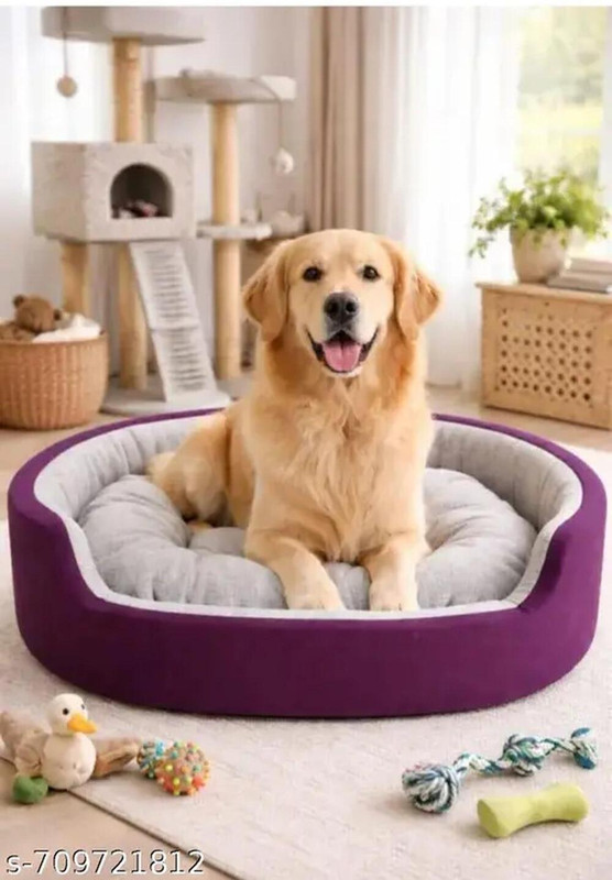 TRANDING SMILE Dog Bed, Sofas Bed & Chairs Bed, bqjsus S Pet Bed(Purple & Grey)