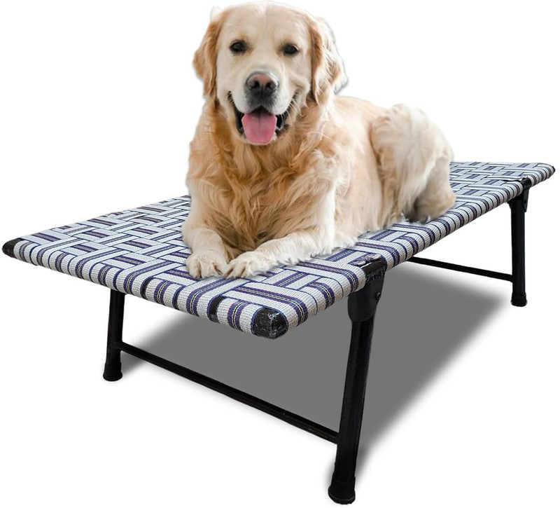 NorthCraft Dog Bed With Leg Fold Strong Quality Iron Frame With Strips M Pet Bed(Multi-Color)