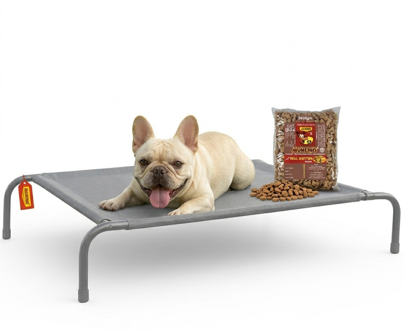Munchos ELEVATED WATER-PROOF | 1KG Free Mutton biscuit S Pet Bed(color may vary)