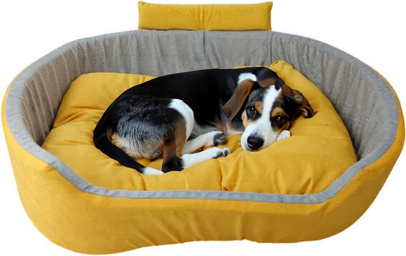 Havens dream Dog Bed, Sofas Bed & Chairs Bed With Haddi M Pet Bed(Yellow & Gray)
