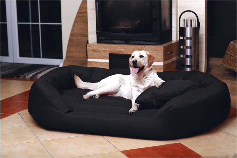 Royals Rore Dog bed 4XL Pet Bed(bla-ckk)