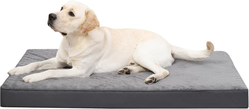 Royals Rore Royals Orthopadic For All Breed 47X29X4 4XL Pet Bed(GREY)