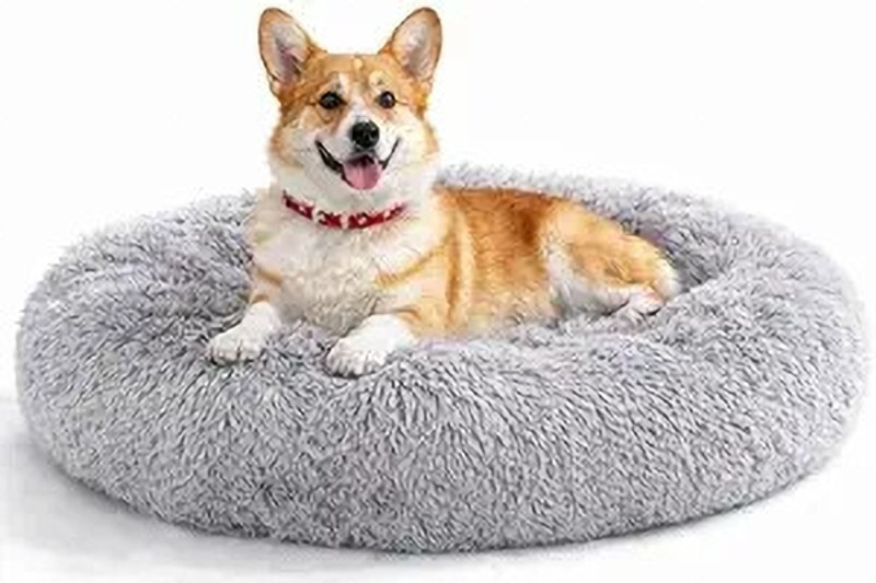 Zexsazone The round soft pet bed perfect for indoor cats puppies for all weather M Pet Bed M Pet Bed(Grey)