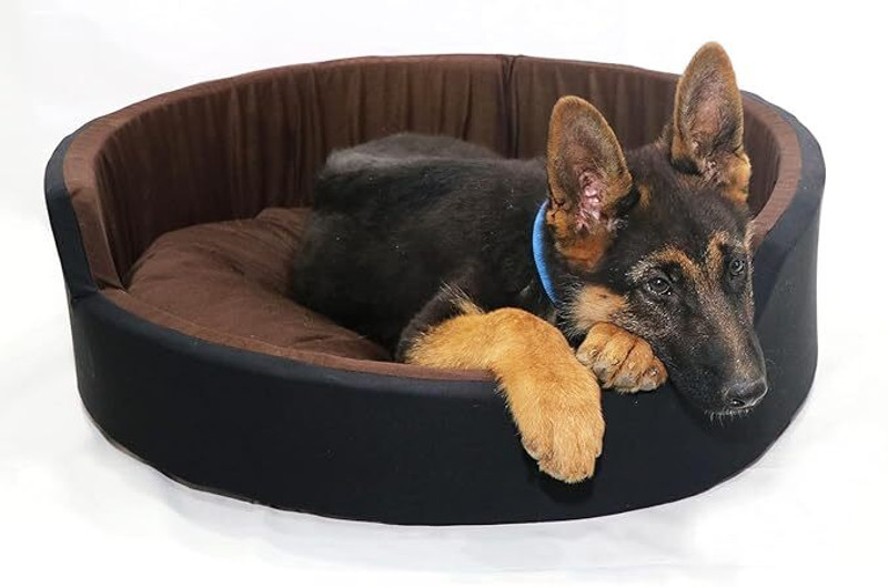 Guru 873_Soft Cotton Fabric Special for Dog Cat Pet Bed-Reversible Detachable Cushion L Pet Bed(Brown)