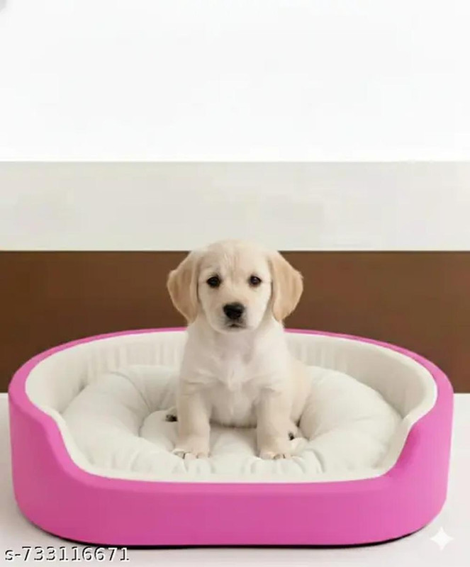 TRANDING SMILE Dog Bed, Sofas Bed & Chairs Bed, c4hiok L Pet Bed(Pink & White)