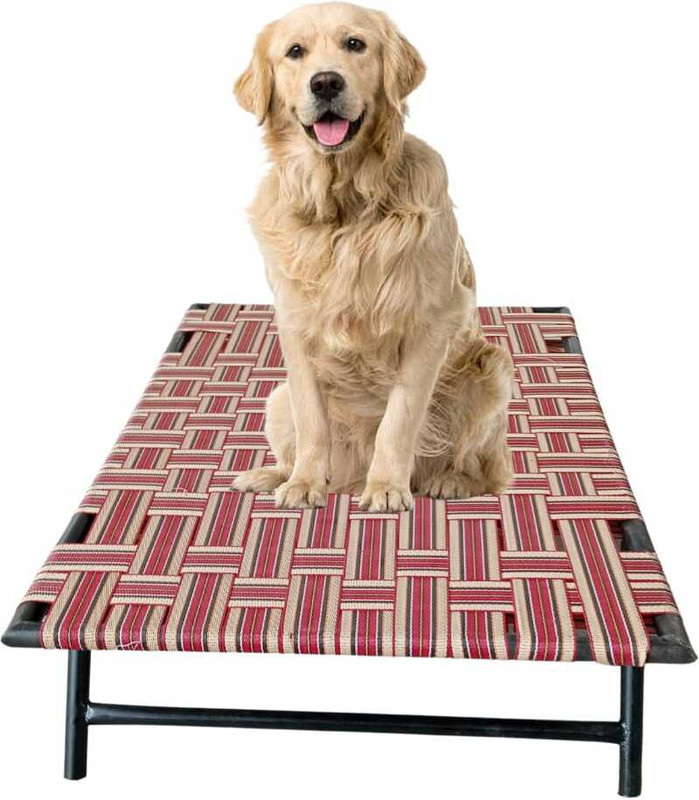 TakshaDecors DBI-76152 L Pet Bed(Multicolor)