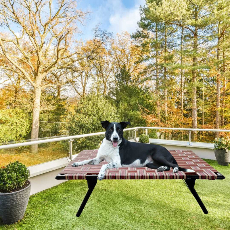 TakshaDecors BIDI-52GH9 L Pet Bed(Multicolor)