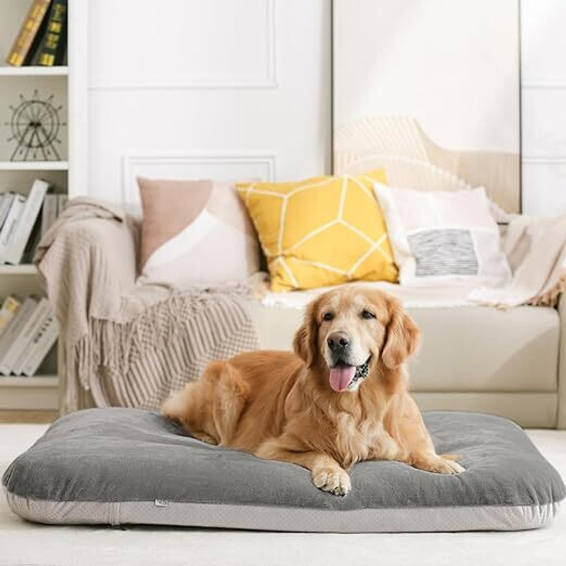 house of common MAGIC PET BED L Pet Bed(GRAY)
