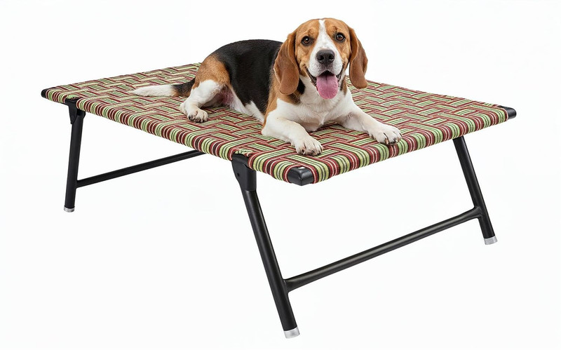NATTNAK WE TRULY CARES Nattnak Heavy Duty Foldable Dog Bed 36x24x8 Inch Iron Frame with Nylon Niwar L Pet Bed(Multicolor)