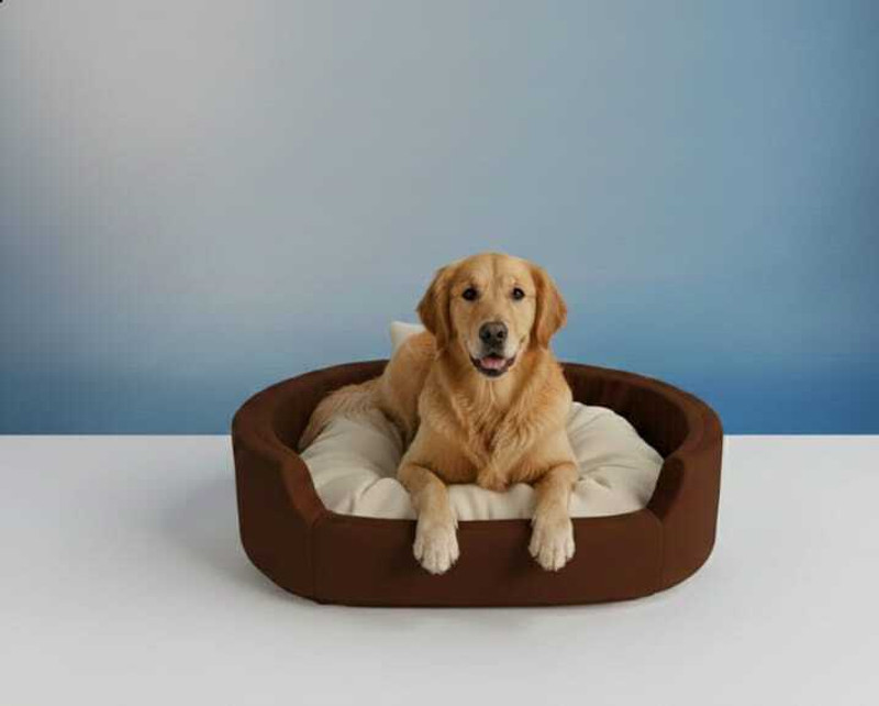 TRANDY STYLISH Luxury Soft Latest Dog Beds , Sofas & Chair With Collar For Dog And Cat M Pet Bed(Blue & Black)