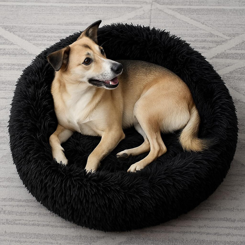 TEDDYRIBBONS Dog bed for medium size dogs and puppies and cat 70 x 70 x 16 M Pet Bed(BLACK)