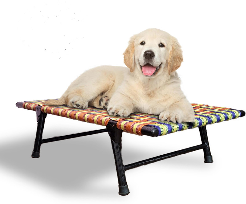 PETSAPIENS Folding Elevated Dog Bed 36x24x8 Inch | Waterproof| Washable| Cooling| Anti-Skid S Pet Bed(Multicolor)