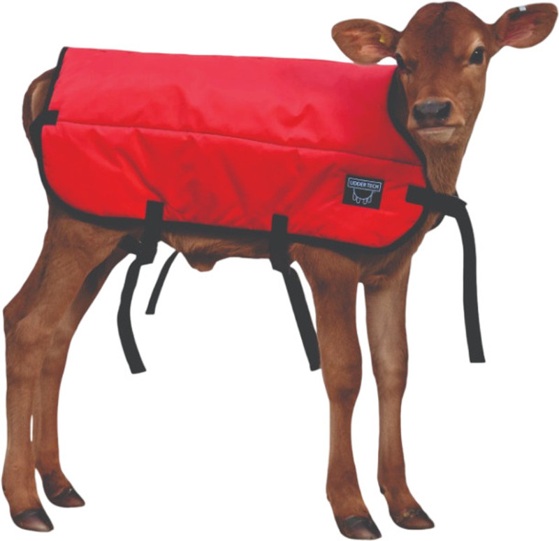 Shri Siddhivinayak Calf Blanket Dog Blanket(Wool, Plastic)
