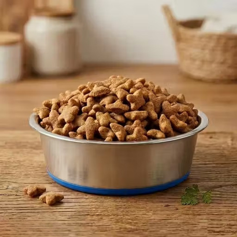 clickflourish Silicon Bonded Rubber Base Feeding Bowls for Dog, Cats and Pet Stainless Steel Pet Bowl(1600 ml Silver, Blue)
