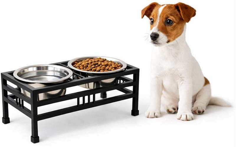 Rvpaws Elevated Double Stainless Steel Bowl Pet Feeder - Raised Stand for Dogs & Cats Iron, Stainless Steel Pet Bowl(350 ml Silver)