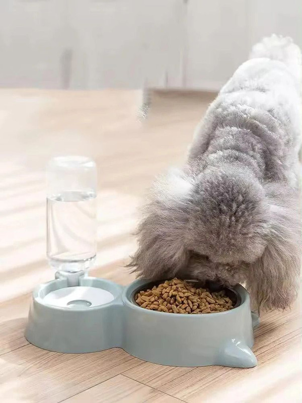 FBK EMPIRE 2-in-1 Cat & Dog Bowl Set With Replaceable Water Bottle|Premium PP Plastic| Polypropylene Pet Bowl & Bottle(250 ml Blue, Light Blue)