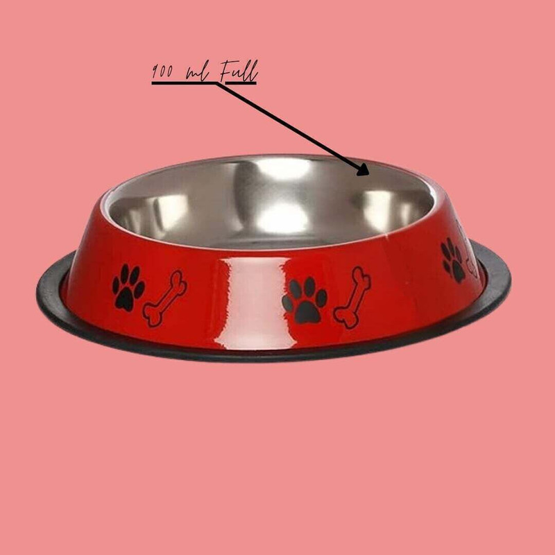 Infinite Paradise Stainless Steel Printed Food and Water Feeding Bowl for Dogs & Cat Stainless Steel Pet Bowl(900 ml Red, Black)